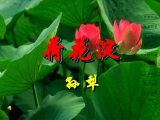 高中语文荷花淀课件粤教版必修三 课件
