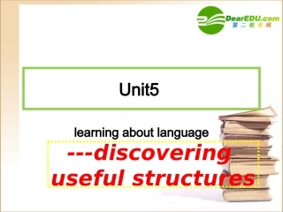 高中英语 unit 5 grammar课件 新人教版选修6 课件