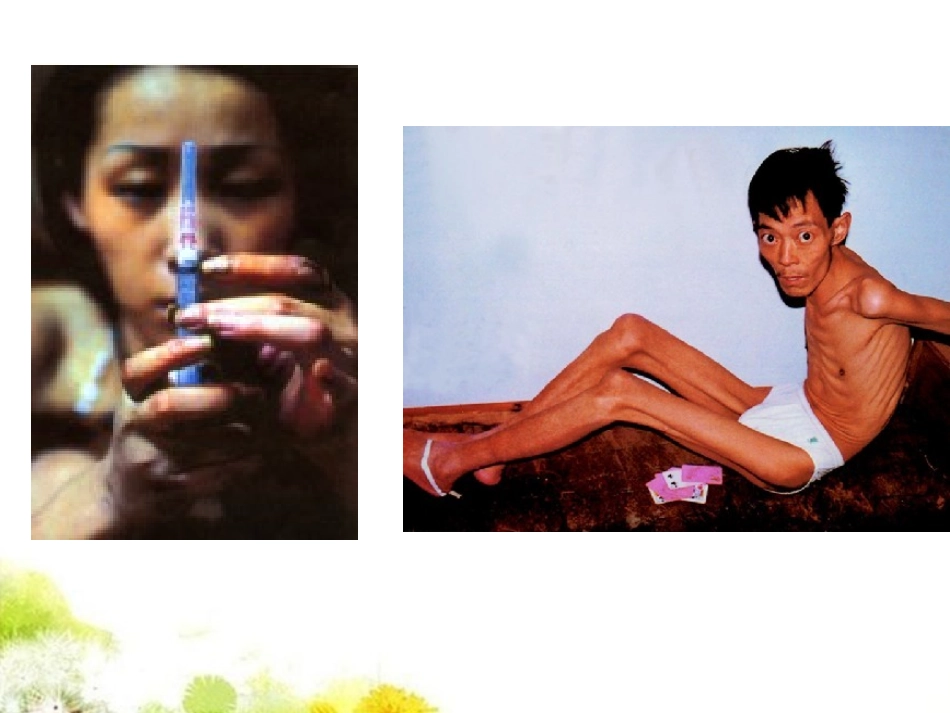 高中英语 Module2课件 外研版必修2 课件_第2页