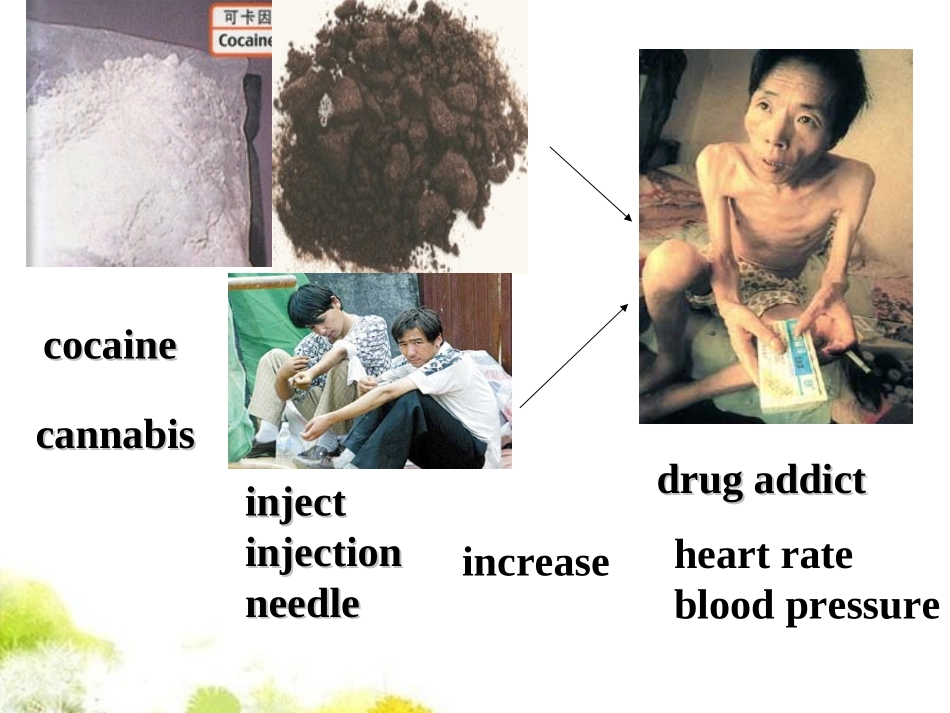 高中英语 Module2课件 外研版必修2 课件_第3页