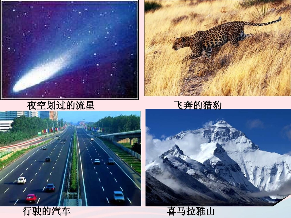 第3节 运动与静止课件1 八年级物理上册 3.1运动与静止复习课件+素材 (新版)北师大版 八年级物理上册 3.1运动与静止复习课件+素材 (新版)北师大版-2_第2页