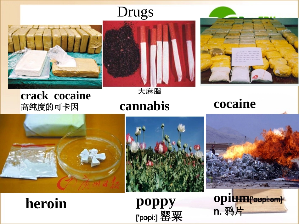 高中英语 Language Pointsppt课件 外研版必修2 课件_第3页