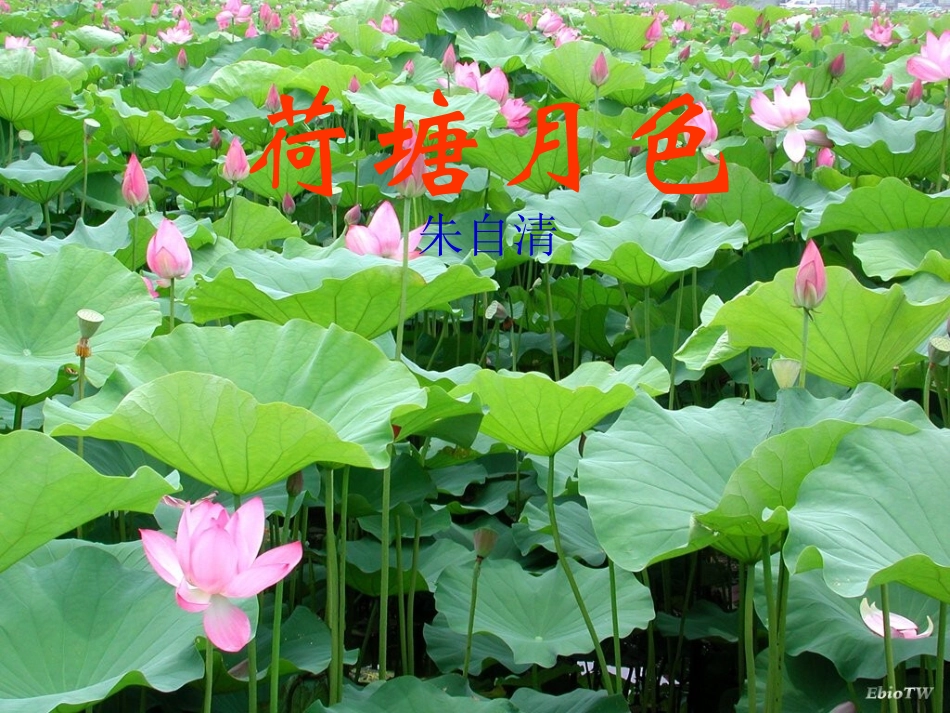 高中语文 荷塘月色2课件 新人教版必修2 课件_第1页