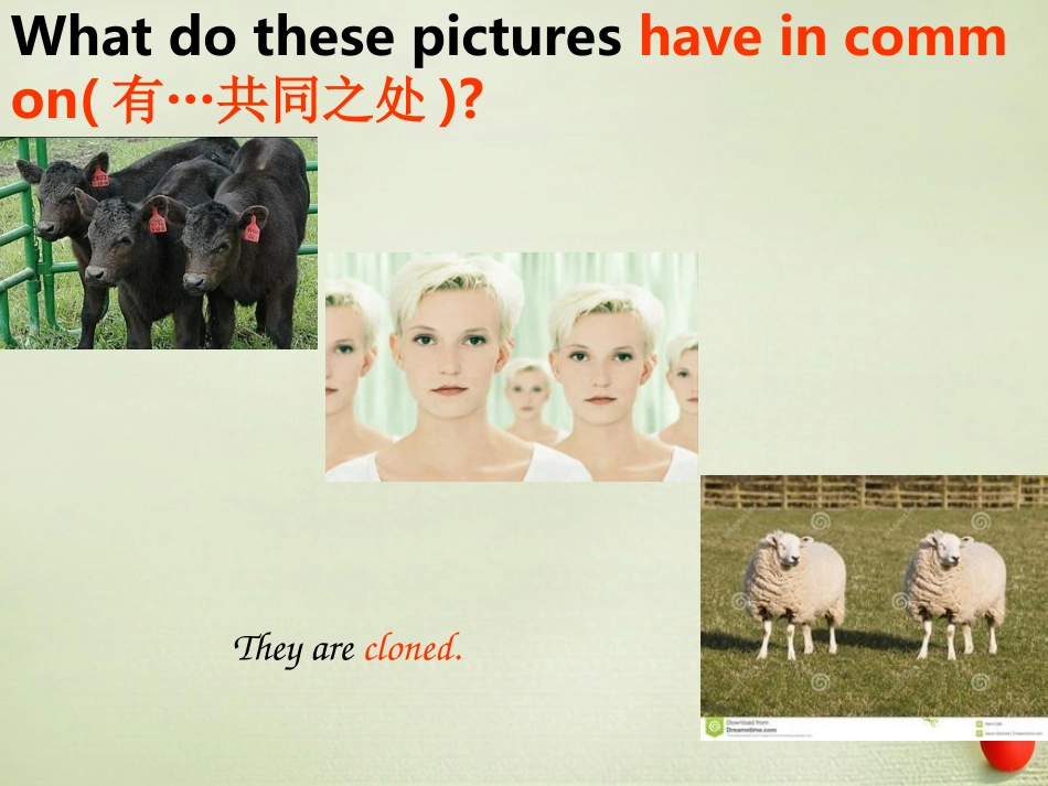 高中英语 Unit 21 Human Biology Discursive essay discussion report教学课件 北师大版选修7 课件_第3页