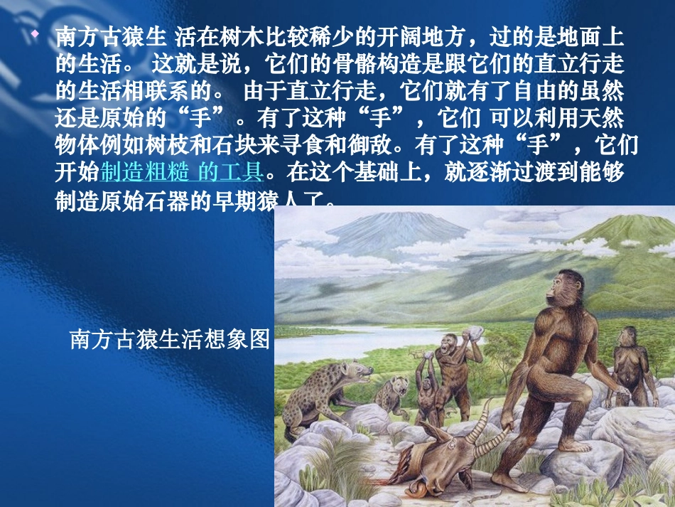 第二课时 八年级生物第3节人的起源和进化课件 八年级生物第3节人的起源和进化课件_第3页