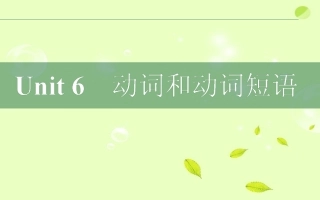 高考英语二轮复习 Unit6 动词和动词短语课件