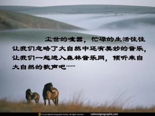 高一语文这个世界的音乐课件 新课标 人教版 课件