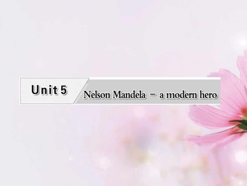 高考英语复习 Unit5 Nelson Mandela-a modern hero专题课件 新人教版必修1 课件_第1页