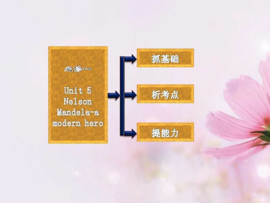 高考英语复习 Unit5 Nelson Mandela-a modern hero专题课件 新人教版必修1 课件_第2页