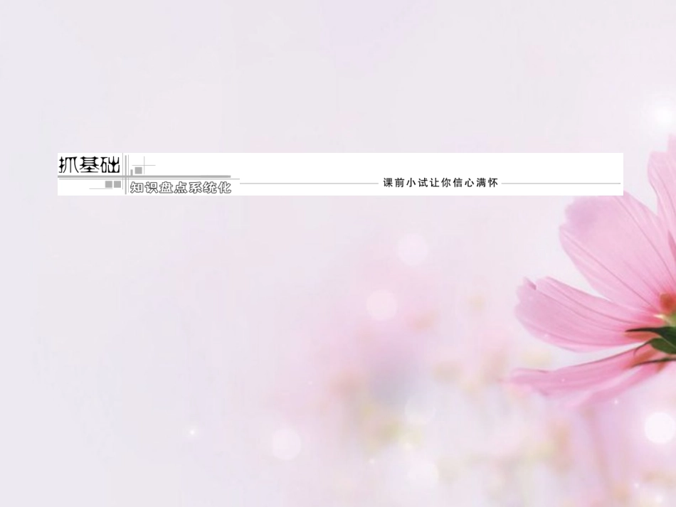 高考英语复习 Unit5 Nelson Mandela-a modern hero专题课件 新人教版必修1 课件_第3页