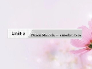 高考英语复习 Unit5 Nelson Mandela-a modern hero专题课件 新人教版必修1 课件