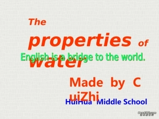 高二英语十三单元课件 人教版 课件