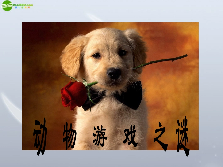 高中语文 412(动物游戏之谜课件)精品课件 新人教版必修3 课件_第1页