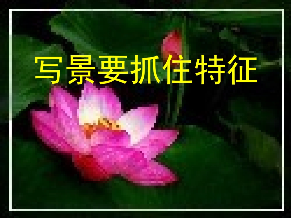 高中语文 表达交流 2(写景要抓住特征)课件 新人教版必修1 课件_第1页