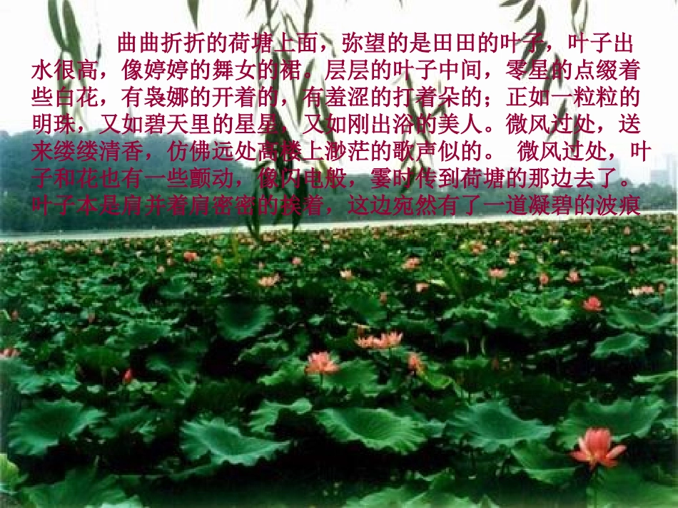 高中语文 表达交流 2(写景要抓住特征)课件 新人教版必修1 课件_第3页