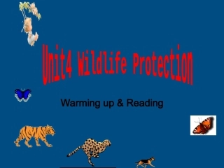 高中英语 unit4 wildlife protection课件 新人教版必修2 课件