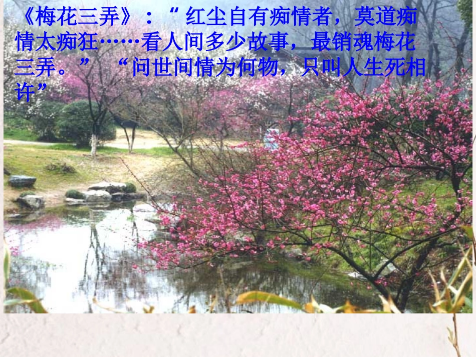 高中语文 第一单元第2课(致橡树)课件 人教版第一册 课件_第1页