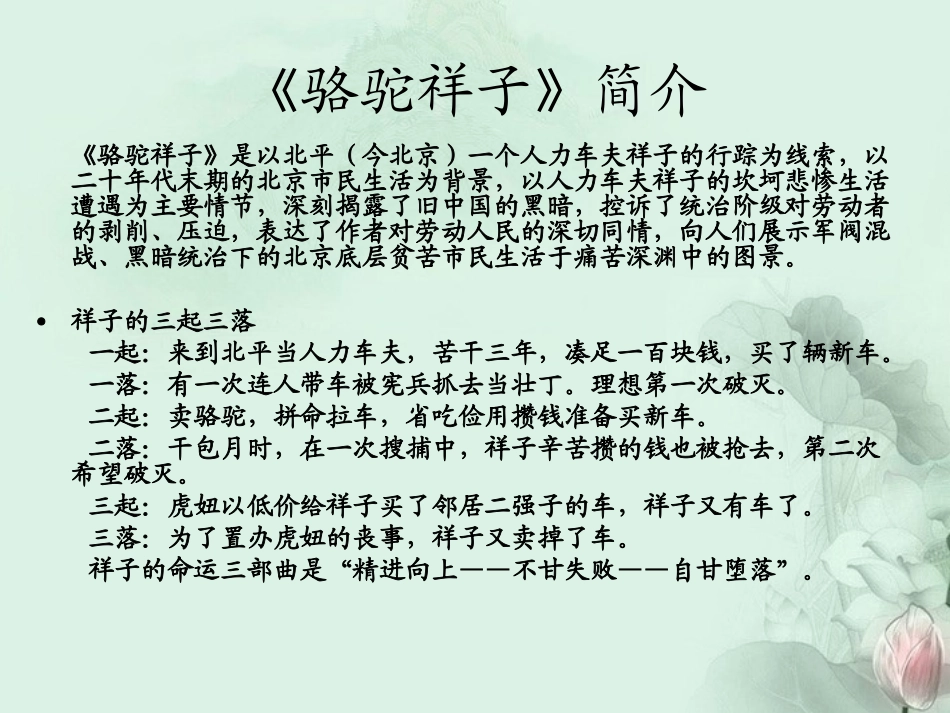 高二语文(骆驼祥子)教学课件 人教版 课件_第3页