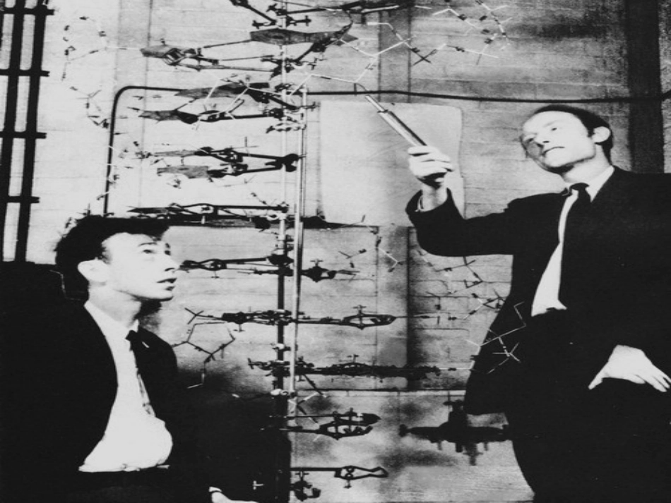 高中英语 module2 DNA the secret of life-reading and vocabulary课件 外研版选修9 课件_第3页