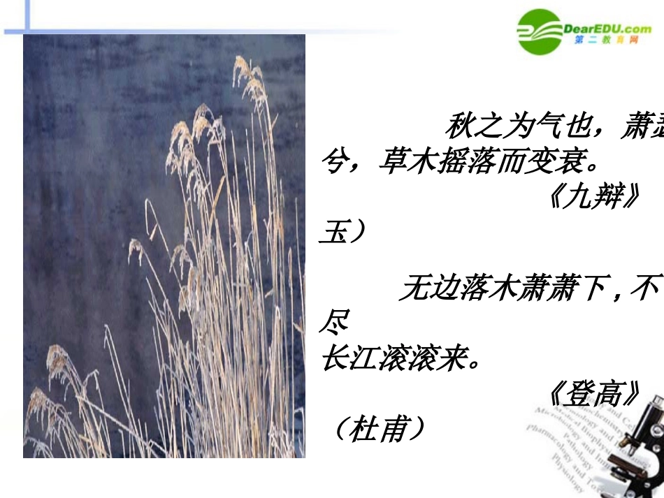 高中语文 第一单元第3课(故乡的榕树)课件(1) 粤教版必修2 课件_第2页