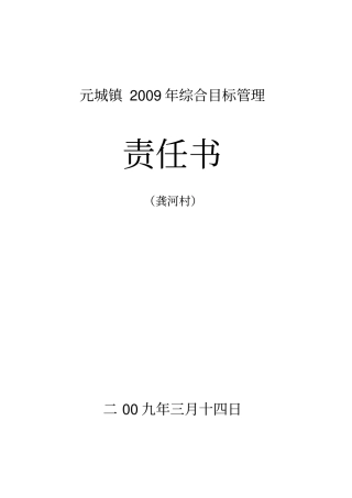 元城镇综合目标管理责任书