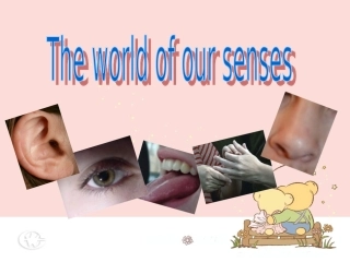 江苏地区高一英语Unit1 reading 牛津版 课件