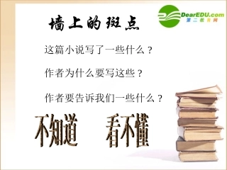 高二语文(墙上的斑点)课件之四苏教版 课件