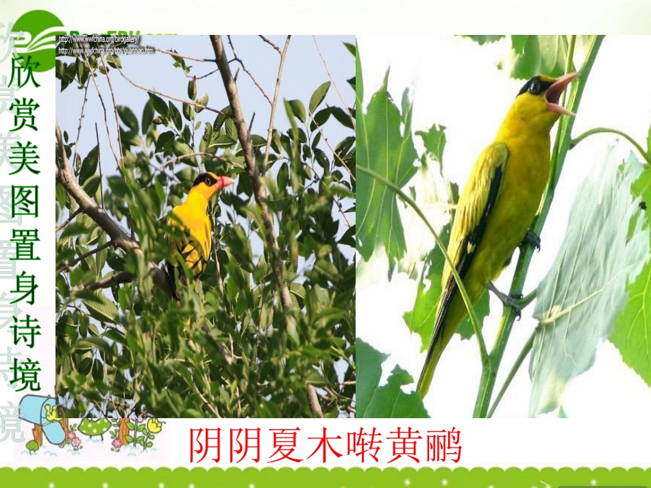 高中语文(积雨辋川庄作)课件 新人教版选修(中国古代诗歌散文欣赏) 课件_第3页