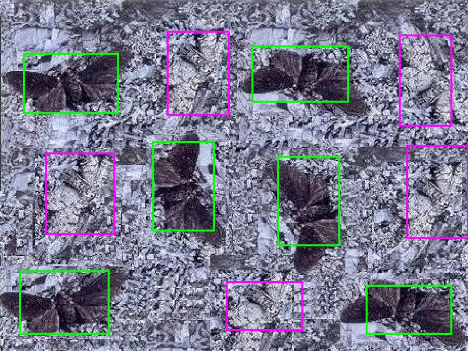 江苏省宿迁市宿城区中扬实验学校七年级生物上册 生物对环境的适应课件 苏科版 课件_第3页
