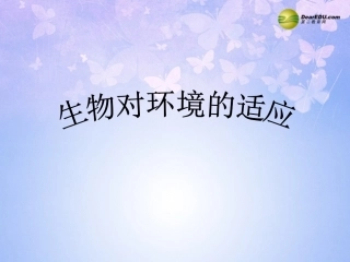 江苏省宿迁市宿城区中扬实验学校七年级生物上册 生物对环境的适应课件 苏科版 课件