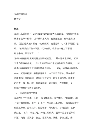 元胡种植技术解析