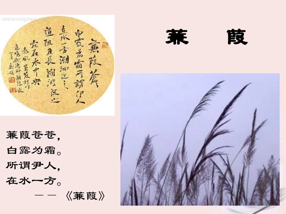 高中语文 第14课(诗经 两首)-静女)课件 粤教版必修1 课件_第2页