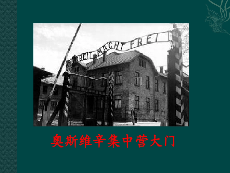 高中语文：13奥斯威辛没有什么新闻 课件 语文版必修1 课件_第3页