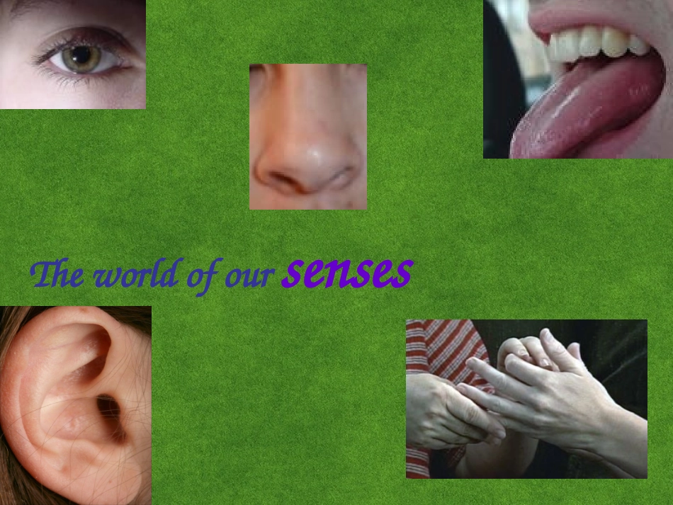 高中英语 unit1-Welcome_to_the_unit课件 牛津版必修1 课件_第2页