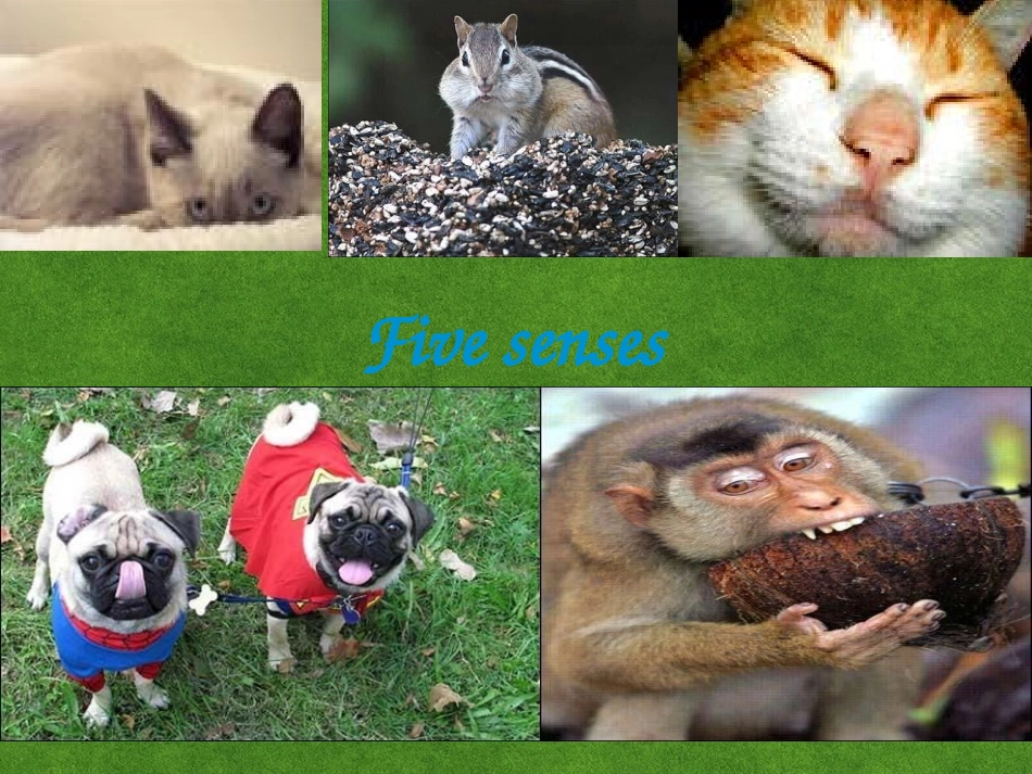 高中英语 unit1-Welcome_to_the_unit课件 牛津版必修1 课件_第3页