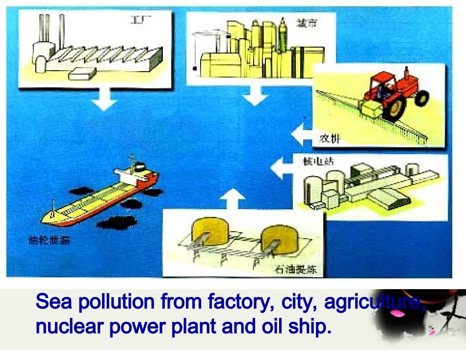 高中英语 Unit7 lesson26 Protecting the sea课件 北师大版必修3 课件_第3页