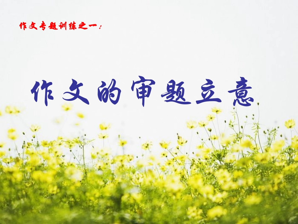 高考语文 作文专题作文的审题立意课件_第1页