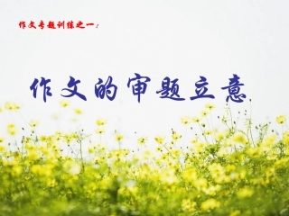 高考语文 作文专题作文的审题立意课件