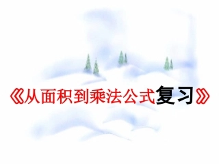 第九章 从面积到乘法公式 复习课 七年级第九章 从面积到乘法公式全套课件 苏科版