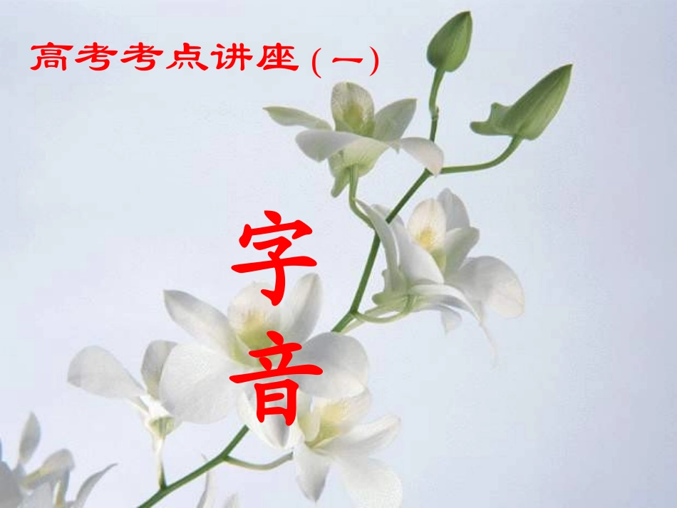 高考语文 考点讲座字音课件 人教版 课件_第1页