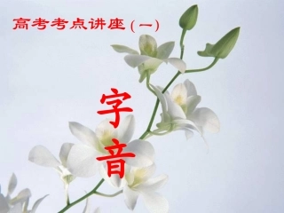 高考语文 考点讲座字音课件 人教版 课件