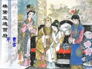 高中语文第一单元林黛玉进贾府第一课时课件新人教版必修3 课件