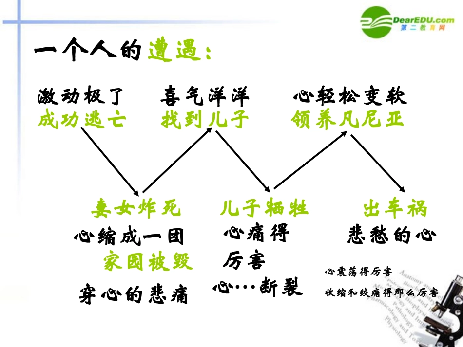 高中语文 第二专题(一个人的遭遇)课件 苏教版必修2 课件_第2页