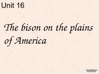 高二英语unit16 integrating skills 人教版 课件