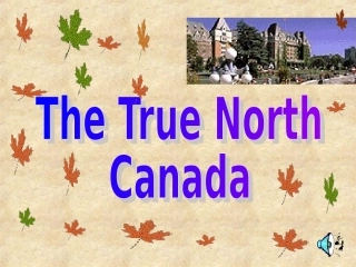 高中英语Unit 5 The True North课件 新课标 人教版 必修3 课件