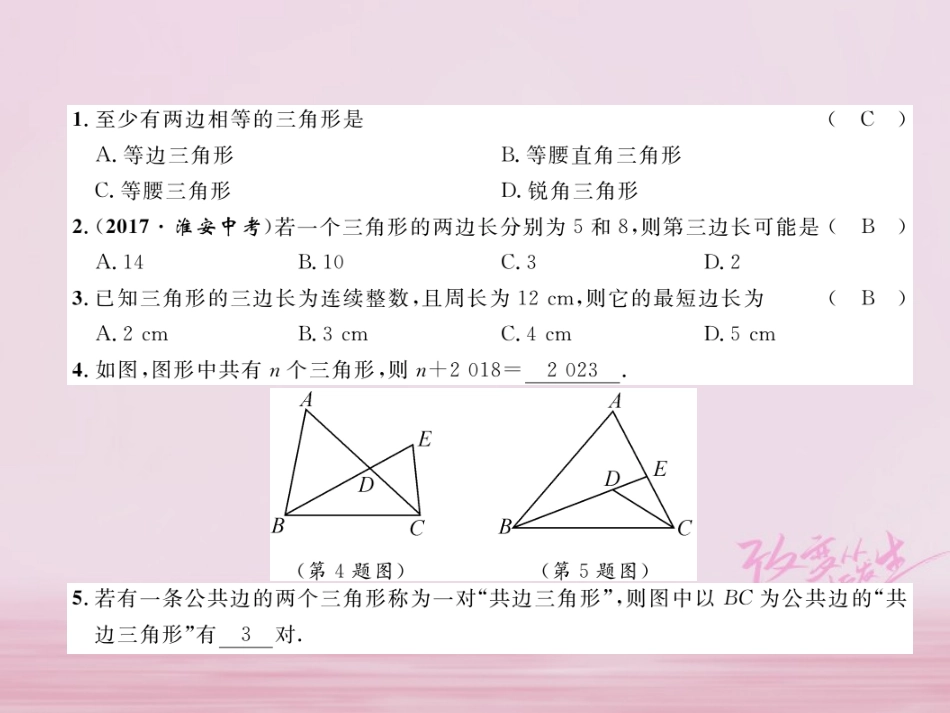 秋八年级数学上册 第2章 三角形 2.1 三角形 第1课时 三角形有关概念及三角形三边关系练习课件 (新版)湘教版 课件_第2页