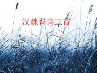 高二语文必修三(短歌行)和(归园田居 )课件