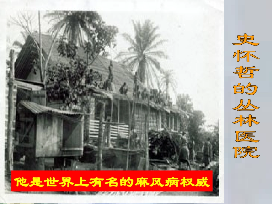 高中语文 第三单元第12课(我的呼吁)课件 人教版第一册 课件_第3页