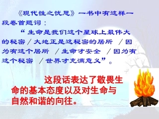 高中语文 第三单元第12课(我的呼吁)课件 人教版第一册 课件