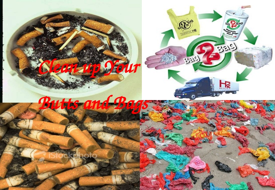 高中英语 Unit4(Global Warming)课件34 新人教版选修6 课件_第3页